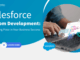 Salesforce Custom App Development
