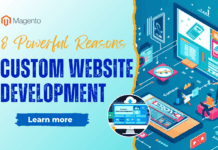 Custom-Website-Development