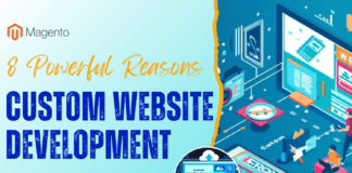 Custom-Website-Development