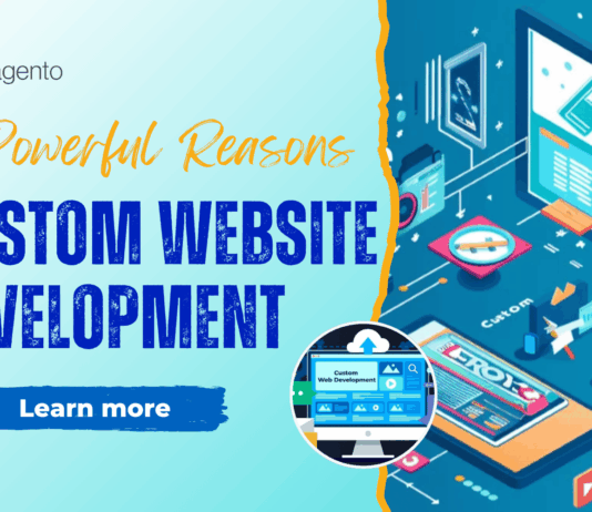 Custom-Website-Development