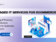 Managed-IT-Services-for-eCommerce