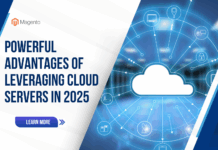 Leveraging Cloud Servers