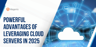 Leveraging Cloud Servers