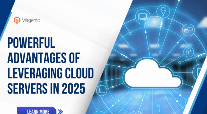 Leveraging Cloud Servers