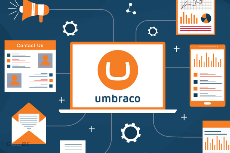 Umbraco CMS