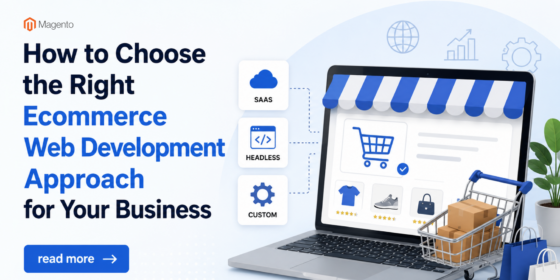 Ecommerce Web Development